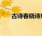 古詩(shī)春曉詩(shī)意解析（古詩(shī) 春曉 詩(shī)意）
