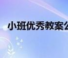 小班優(yōu)秀教案公開課視頻（小班優(yōu)秀教案）