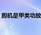 膽機(jī)是甲類功放嗎（甲類功放和膽機(jī)哪個(gè)好）