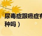 尿毒癥跟癌癥有什么區(qū)別（尿毒癥是癌癥的一種嗎）