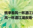 桃李春風(fēng)一杯酒江湖夜雨十年燈意思一樣的詩(shī)句?（桃李春風(fēng)一杯酒江湖夜雨十年燈的意思）