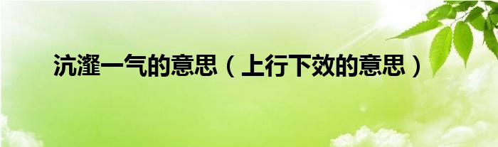 沆瀣一氣的意思（上行下效的意思）
