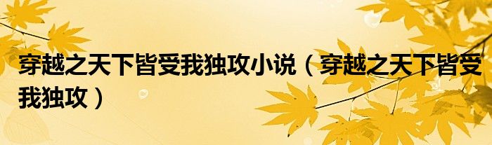穿越之天下皆受我獨攻小說（穿越之天下皆受我獨攻）
