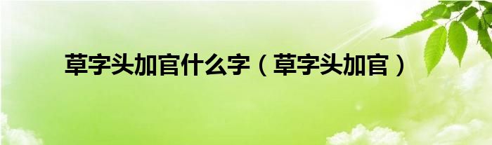 草字頭加官什么字（草字頭加官）