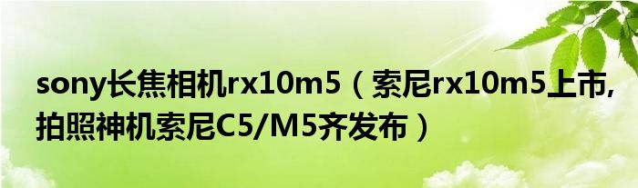 sony長焦相機rx10m5（索尼rx10m5上市,拍照神機索尼C5/M5齊發(fā)布）