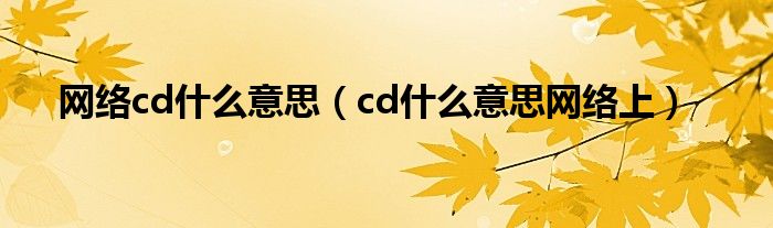 網(wǎng)絡(luò)cd什么意思（cd什么意思網(wǎng)絡(luò)上）