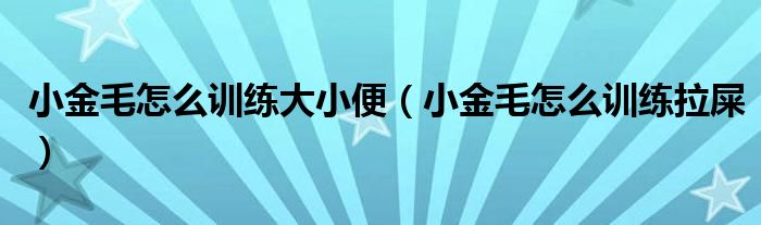 小金毛怎么訓(xùn)練大小便（小金毛怎么訓(xùn)練拉屎）