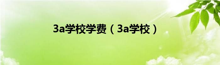 3a學(xué)校學(xué)費（3a學(xué)校）