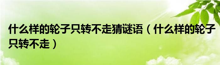 什么樣的輪子只轉(zhuǎn)不走猜謎語(yǔ)（什么樣的輪子只轉(zhuǎn)不走）