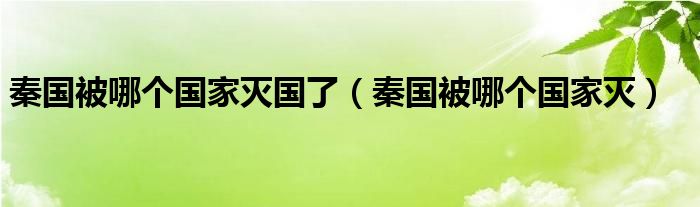 秦國被哪個國家滅國了（秦國被哪個國家滅）