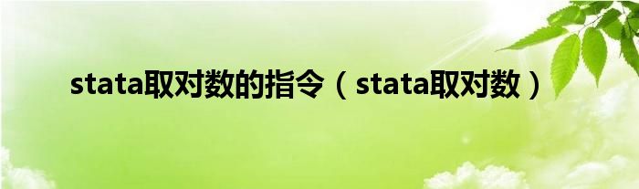 stata取對數(shù)的指令（stata取對數(shù)）
