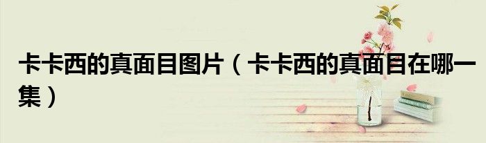 卡卡西的真面目圖片（卡卡西的真面目在哪一集）
