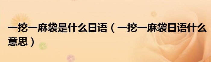一挖一麻袋是什么日語（一挖一麻袋日語什么意思）