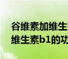 谷維素加維生素b1的功效和作用（谷維素加維生素b1的功效）