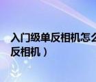入門級單反相機怎么選（新手入門級單反推薦,7款入門級單反相機）