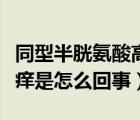 同型半胱氨酸高是怎么回事（腳上起小水皰很癢是怎么回事）