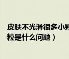 皮膚不光滑很多小顆粒是什么問題呢（皮膚不光滑很多小顆粒是什么問題）
