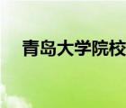 青島大學(xué)院校代碼（青島大學(xué)院校代號）