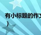有小標題的作文600字初中（作文小標題大全）