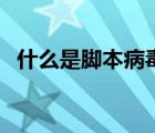 什么是腳本病毒的一種（腳本病毒的危害）