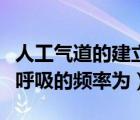 人工氣道的建立與護(hù)理（人工氣道建立后人工呼吸的頻率為）