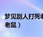 夢見別人打死老鼠是什么意思（夢見別人打死老鼠）
