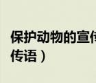 保護動物的宣傳語圖片簡筆畫（保護動物的宣傳語）