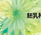 胚乳種子有哪些（胚乳）