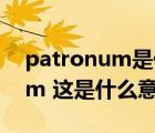 patronum是什么意思（Expecto Patronum 這是什么意思）