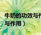 牛奶的功效與作用白天喝晚上喝（牛奶的功效與作用）