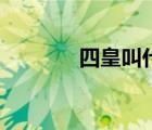 四皇叫什么（四皇是哪四個）