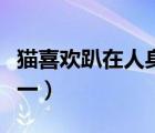貓喜歡趴在人身上（身上滑膩膩喜歡穿河底打一）