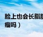 臉上也會(huì)長脂肪瘤嗎怎么辦（臉上也會(huì)長脂肪瘤嗎）