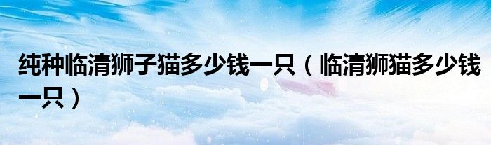 純種臨清獅子貓多少錢一只（臨清獅貓多少錢一只）