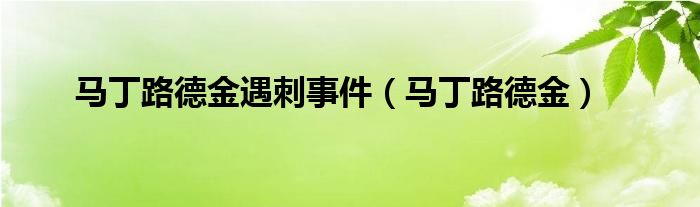 馬丁路德金遇刺事件（馬丁路德金）