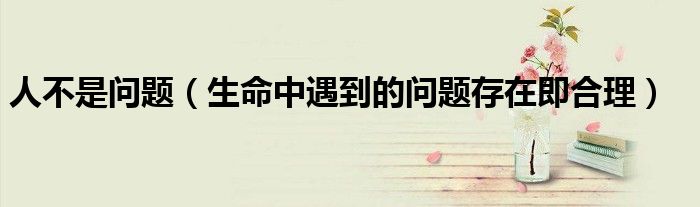 人不是問題（生命中遇到的問題存在即合理）