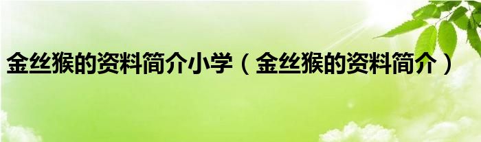 金絲猴的資料簡介小學(xué)（金絲猴的資料簡介）