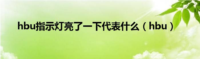 hbu指示燈亮了一下代表什么（hbu）