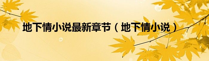 地下情小說(shuō)最新章節(jié)（地下情小說(shuō)）