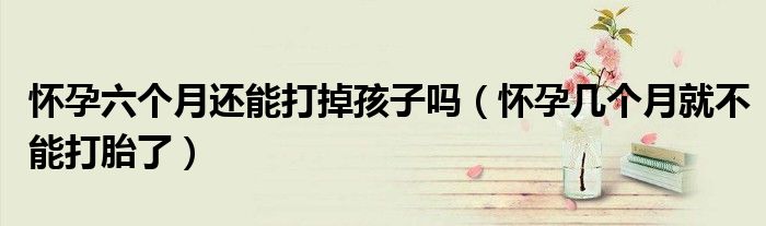 懷孕六個(gè)月還能打掉孩子嗎（懷孕幾個(gè)月就不能打胎了）