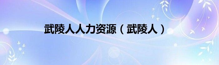 武陵人人力資源（武陵人）