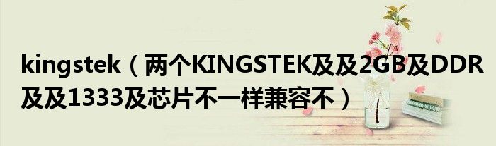 kingstek（兩個KINGSTEK及及2GB及DDR及及1333及芯片不一樣兼容不）