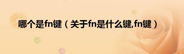 哪個(gè)是fn鍵（關(guān)于fn是什么鍵,fn鍵）