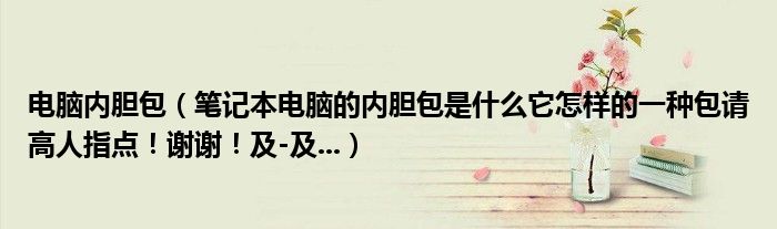 電腦內(nèi)膽包（筆記本電腦的內(nèi)膽包是什么它怎樣的一種包請高人指點！謝謝！及-及...）