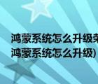 鴻蒙系統(tǒng)怎么升級榮耀50（榮耀60升級鴻蒙系統(tǒng)入口(榮耀鴻蒙系統(tǒng)怎么升級)）