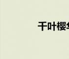 千葉櫻華漫畫2（千葉櫻華）