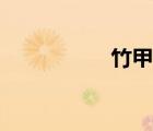 竹甲蟲(chóng)幼蟲(chóng)（竹甲蟲(chóng)）