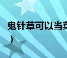 鬼針草可以當菜吃嗎（哪些人不可以吃鬼針草）