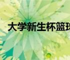 大學(xué)新生杯籃球賽策劃書（籃球賽策劃書）