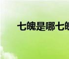 七魄是哪七魄怎么讀（七魄是哪七魄）